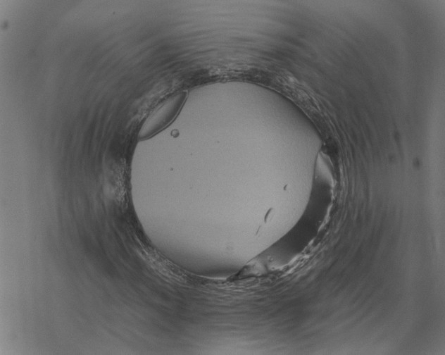 X0000077291012200611101337