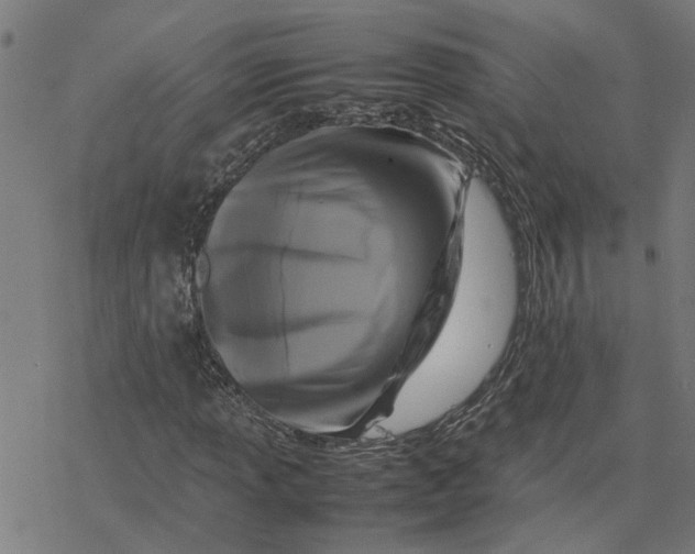 X0000077291013200611101337