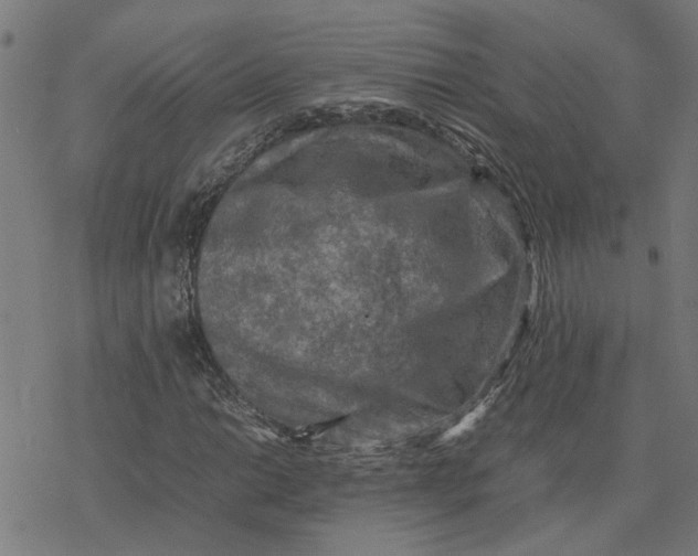 X0000077291014200611101337