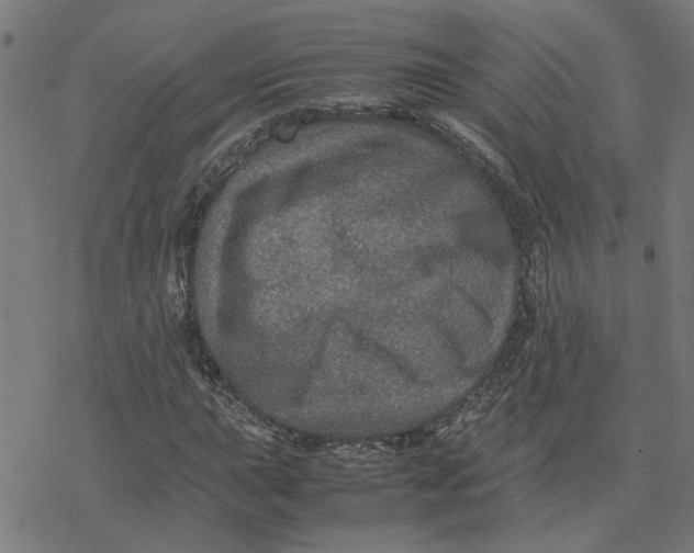 X0000077291015200611101337