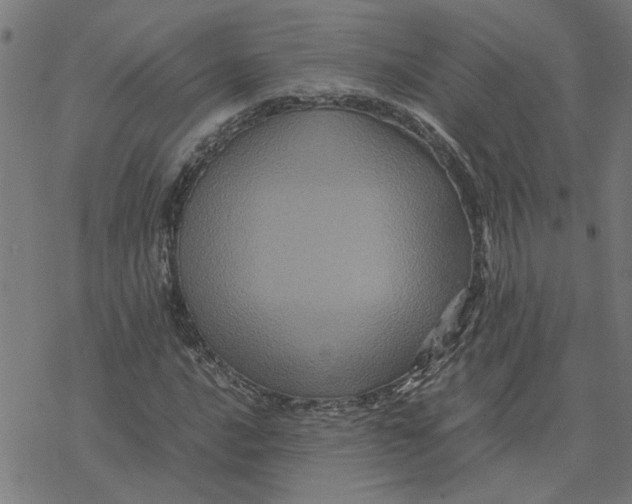 X0000077291016200611101337