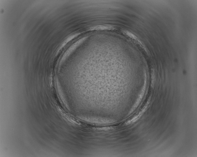 X0000077291017200611101337