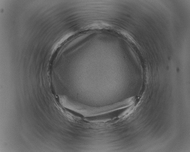 X0000077291018200611101337