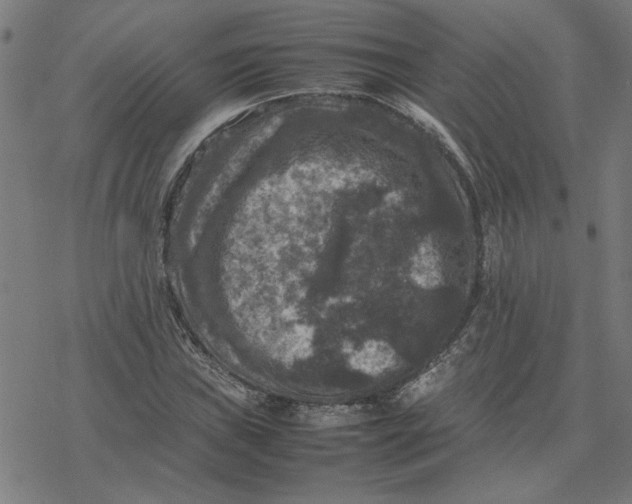 X0000077291019200611101337