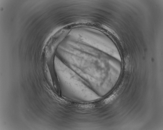 X0000077291021200611101337