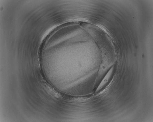 X0000077291022200611101337