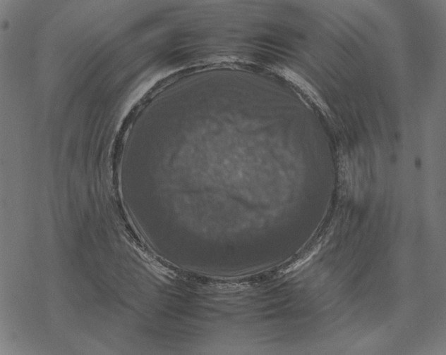 X0000077291023200611101337