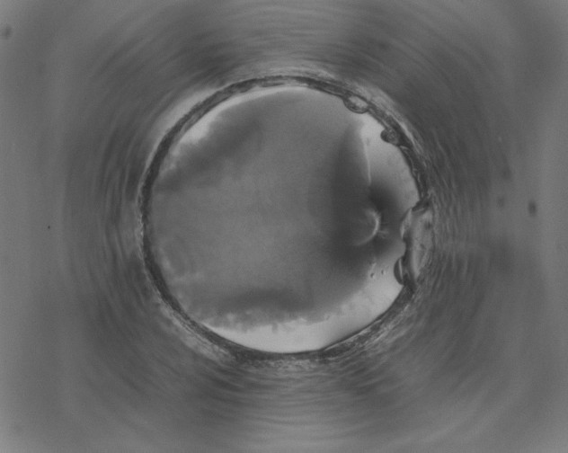 X0000077291024200611101337