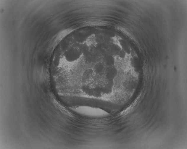 X0000077291025200611101337