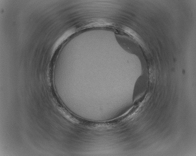 X0000077291026200611101337