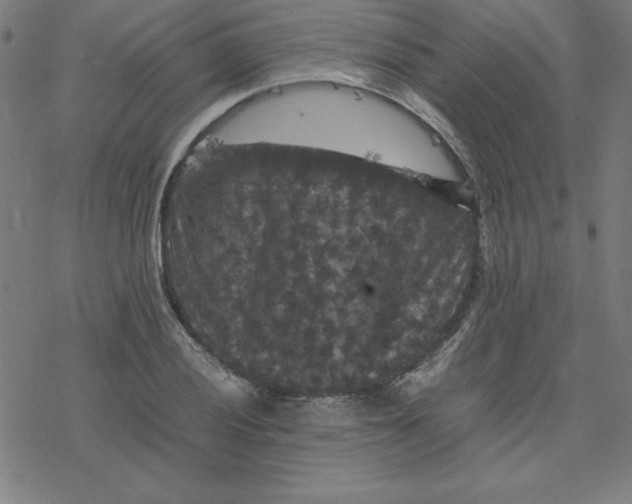 X0000077291028200611101338