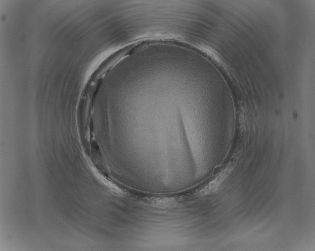 X0000077291030200611101338