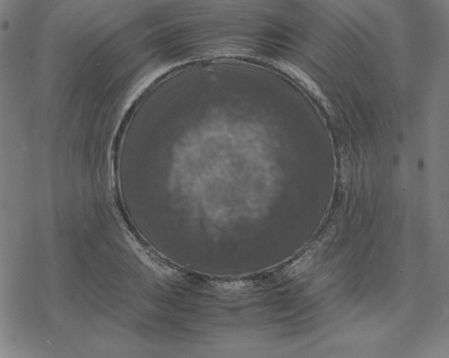 X0000077291031200611101338