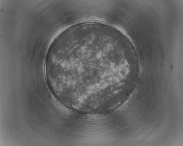 X0000077291032200611101338