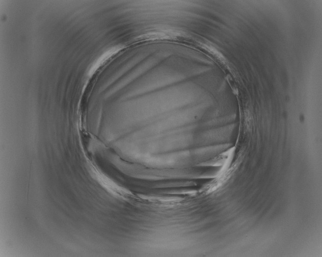 X0000077291034200611101338