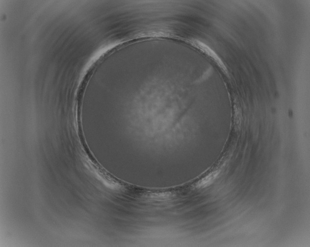 X0000077291035200611101338