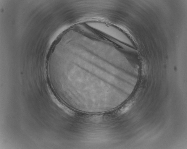 X0000077291038200611101338