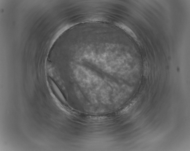 X0000077291039200611101338