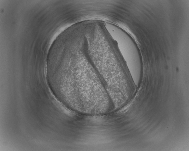 X0000077291040200611101338