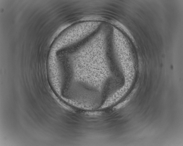 X0000077291041200611101338