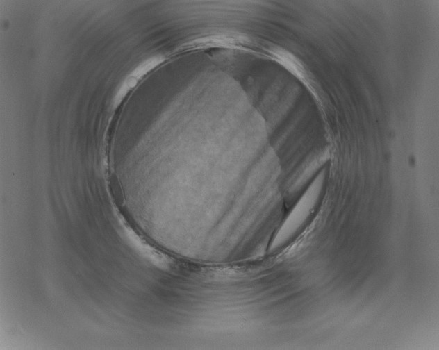 X0000077291042200611101338