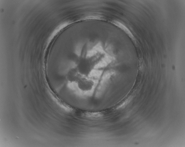 X0000077291043200611101338