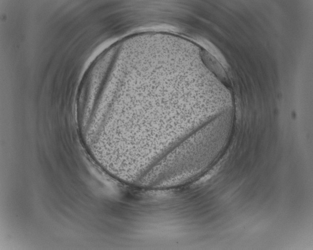 X0000077291044200611101338