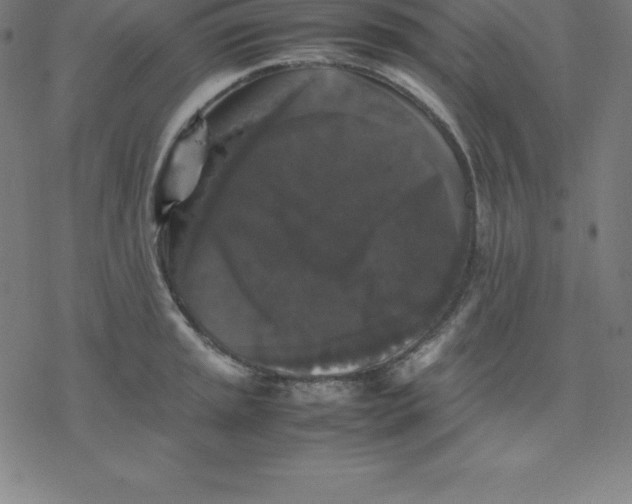 X0000077291045200611101338