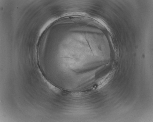 X0000077291046200611101338