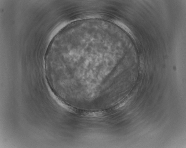 X0000077291047200611101338