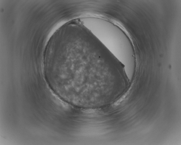 X0000077291048200611101338