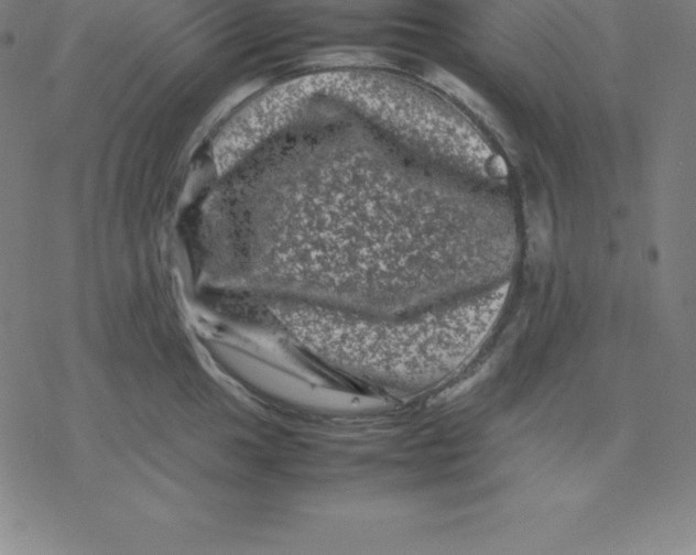 X0000077291049200611101338