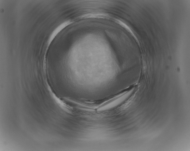 X0000077291050200611101338