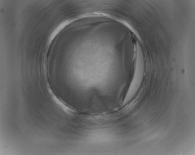 X0000077291054200611101338