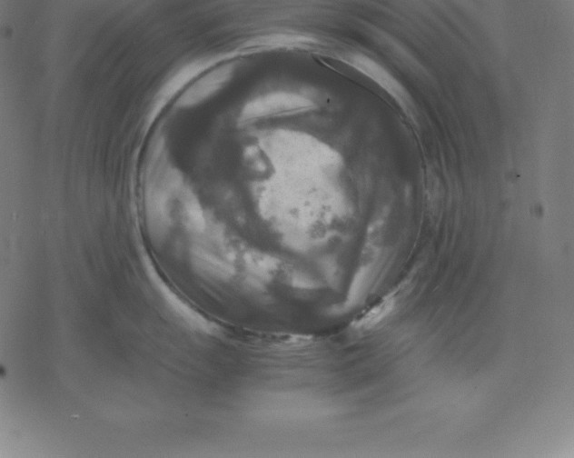 X0000077291055200611101338