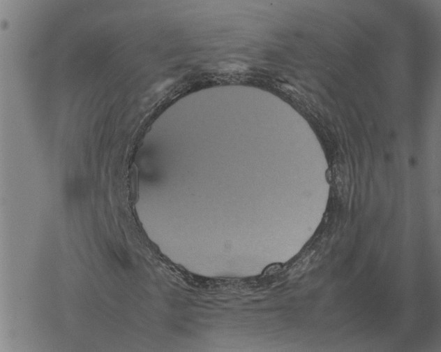 X0000077291057200611101337