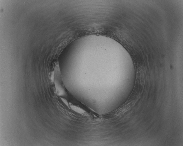 X0000077291058200611101337