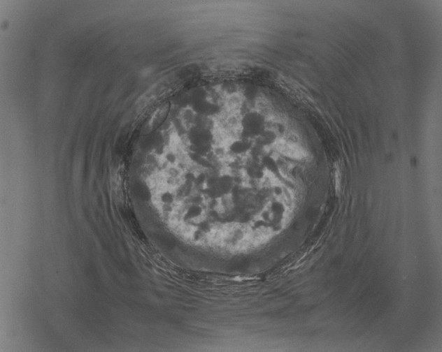 X0000077291059200611101337