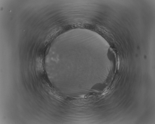 X0000077291060200611101337