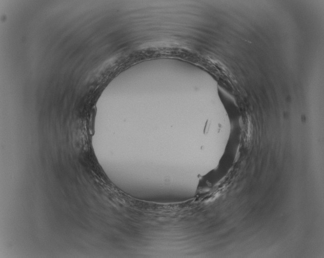 X0000077291062200611101337