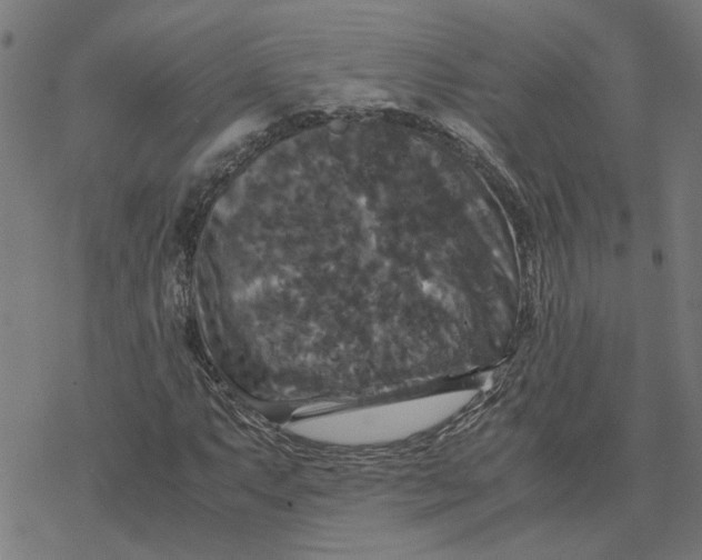 X0000077291063200611101337