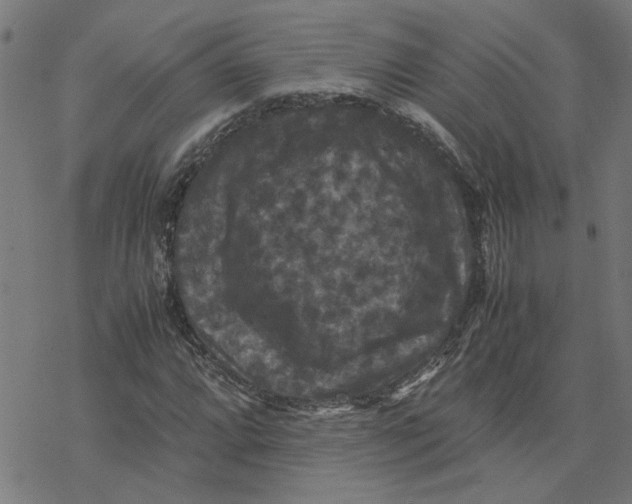 X0000077291064200611101337