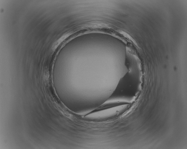 X0000077291065200611101337