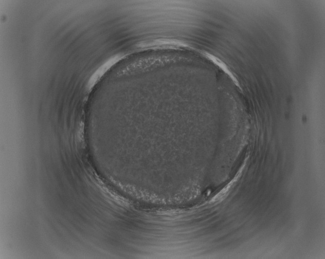 X0000077291066200611101337