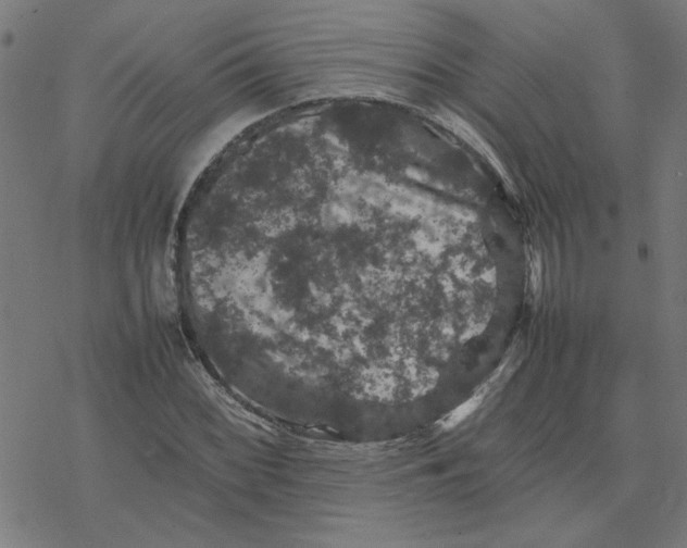 X0000077291068200611101337