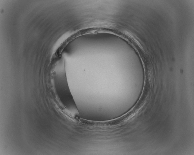 X0000077291069200611101337