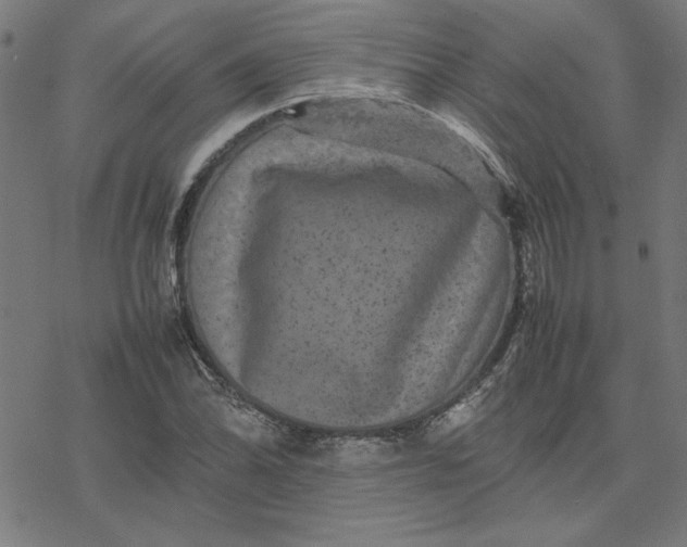 X0000077291070200611101337