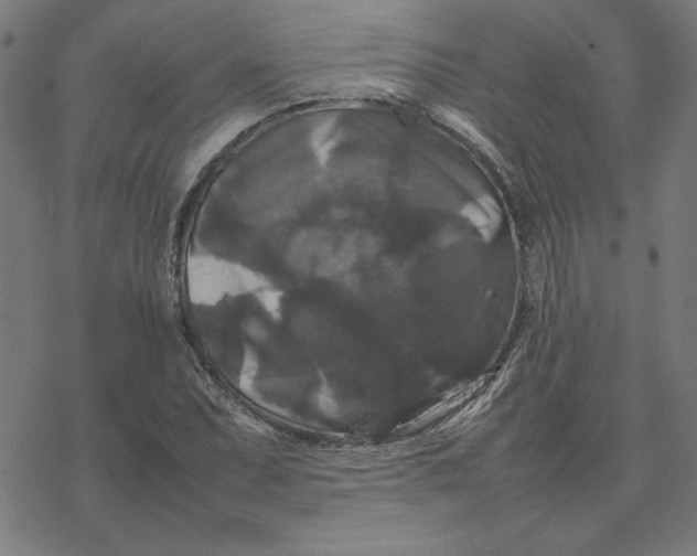 X0000077291071200611101337