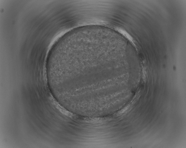 X0000077291072200611101337