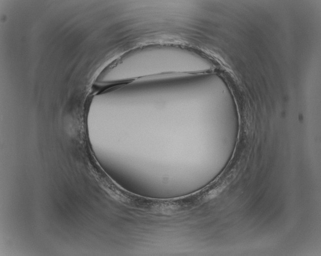 X0000077291073200611101337